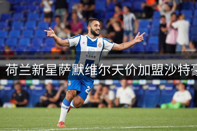 荷兰新星萨默维尔天价加盟沙特豪门 四年合约创足坛薪资新纪录